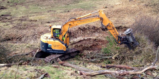 W L Straughan & Son see the wood for the trees with Hyundai fleet.