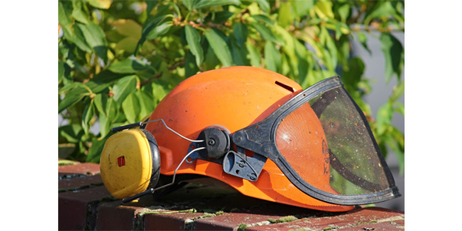 How Important Is Ear Protection