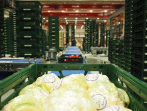 Automation has helped Mercadona achieve record lead times