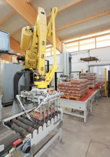 BEUMER Group supplies robotic palletiser to manufacturer of individual gypsum products CASEA GmbH